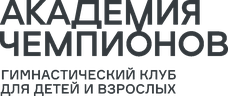 Академия чемпионов